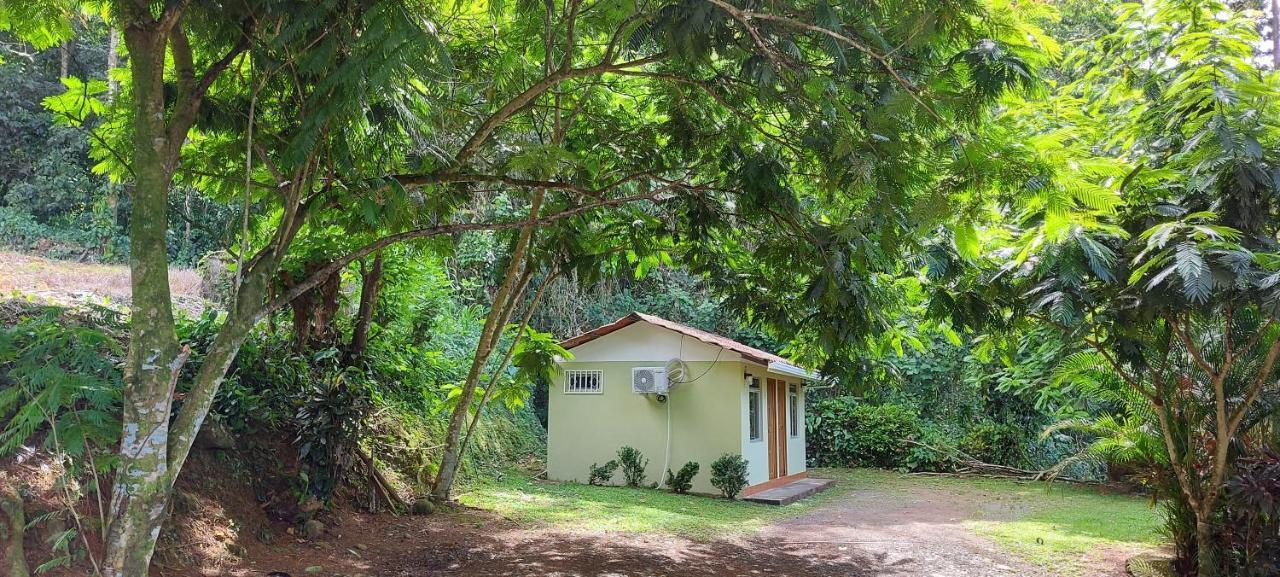 Hostal Y Cabinas Anita-And Rafting Tour! Siqurres Da Alegria Exterior foto
