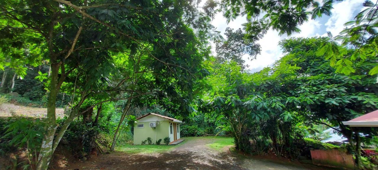 Hostal Y Cabinas Anita-And Rafting Tour! Siqurres Da Alegria Exterior foto