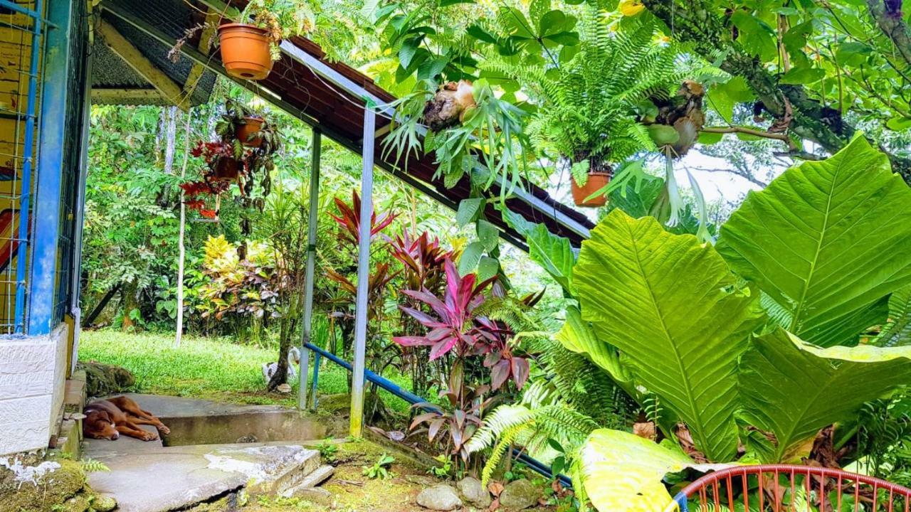 Hostal Y Cabinas Anita-And Rafting Tour! Siqurres Da Alegria Exterior foto